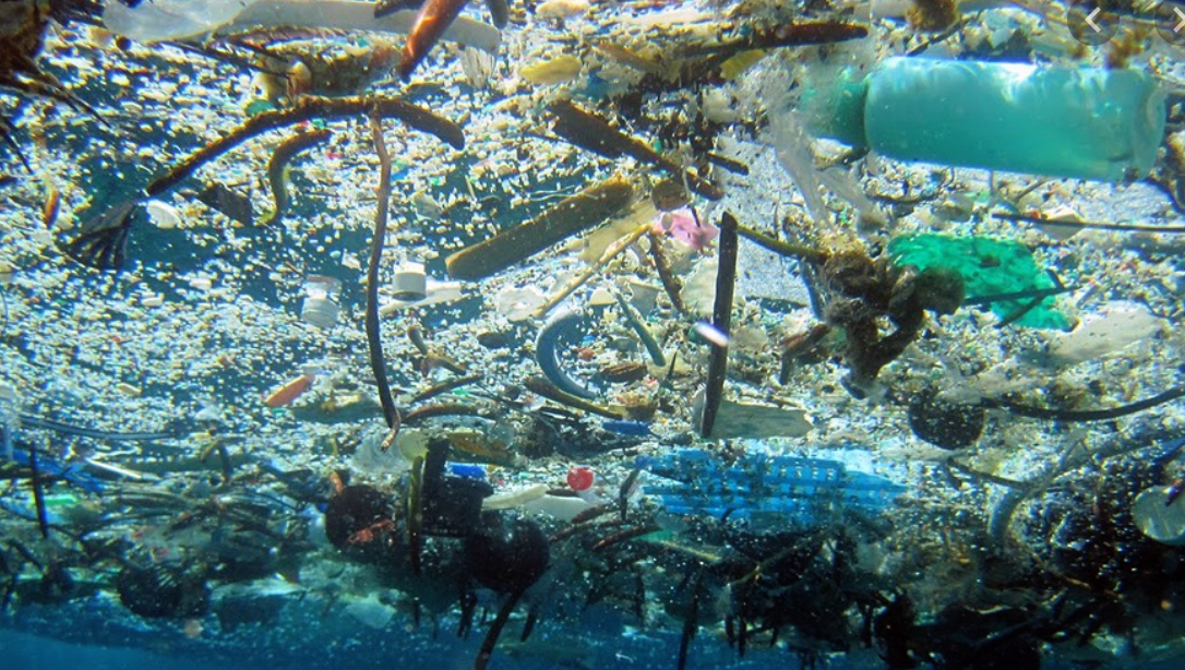plastique folie